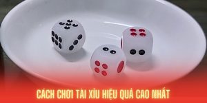 cách chơi tài xỉu