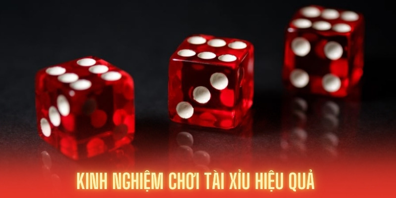 Kinh nghiệm cược hiệu quả