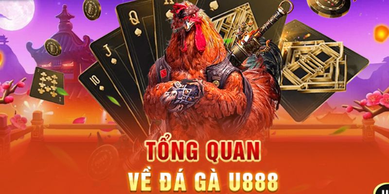 Sơ lược về đá gà U888